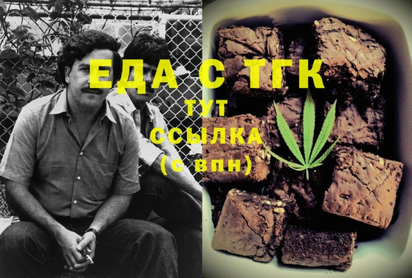 индика Анжеро-Судженск