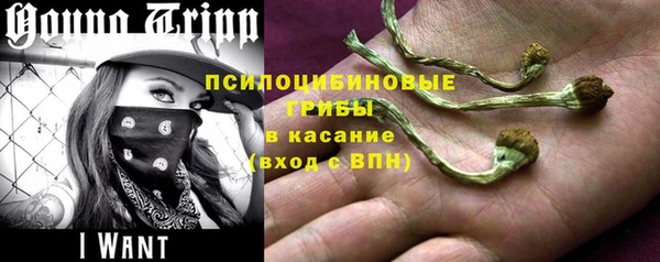 мет Магас