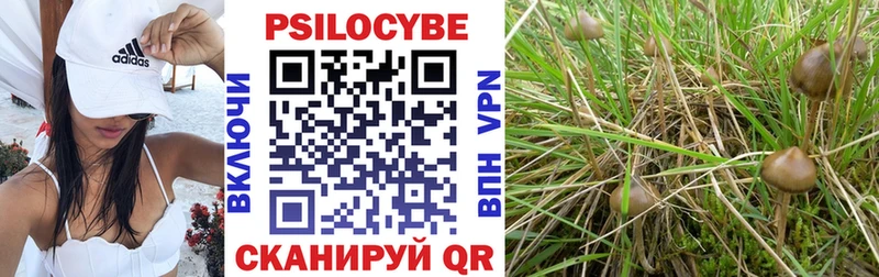 Псилоцибиновые грибы MAGIC MUSHROOMS  где купить   даркнет клад  Добрянка 