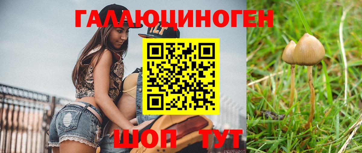 Галлюциногенные грибы мицелий Добрянка
