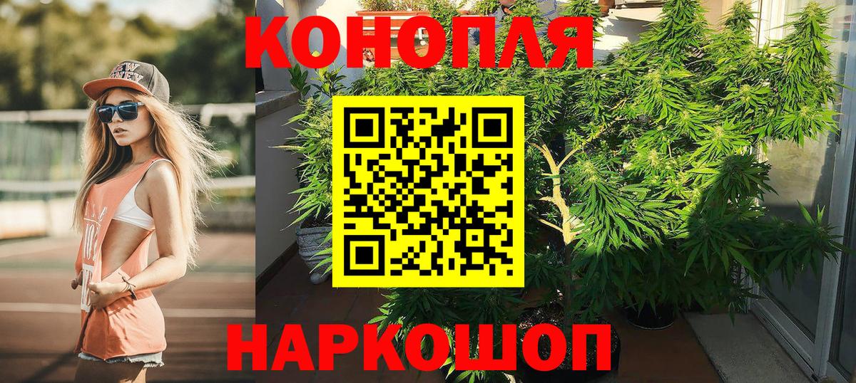 Каннабис сатива  Вход с VPN  Добрянка  Шишки марихуана конопля 