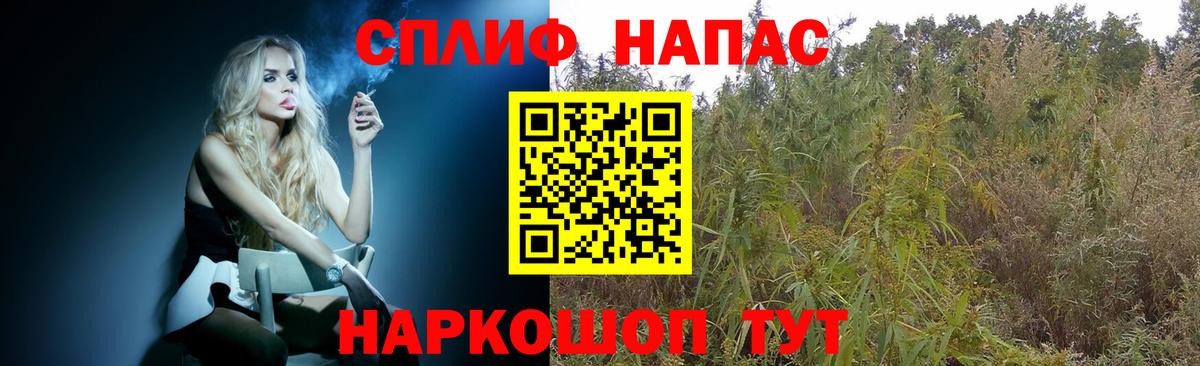 Бошки Шишки семена Добрянка